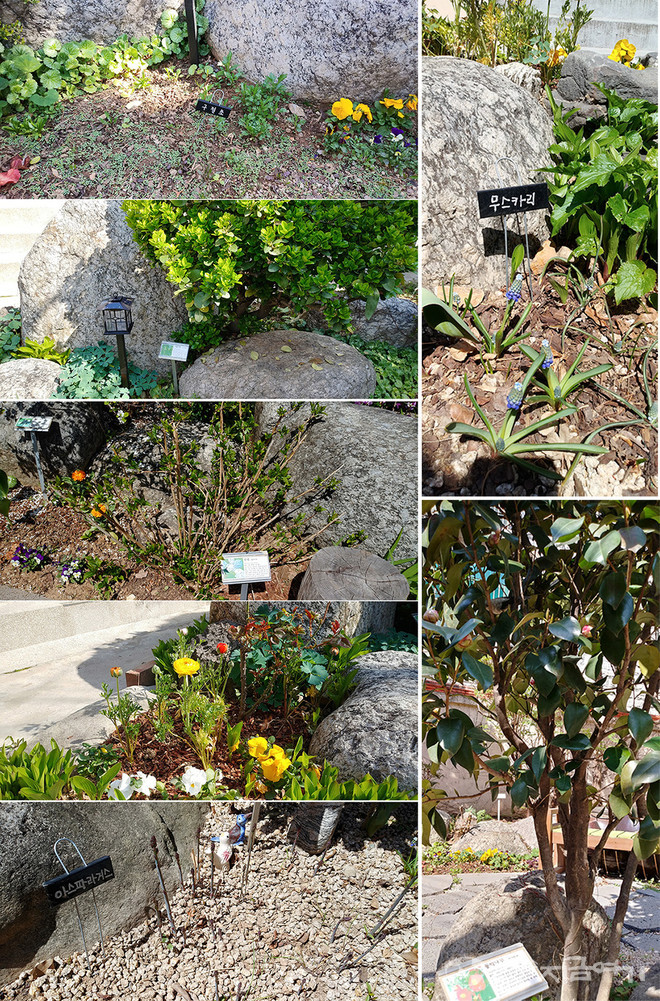 모퉁이돌 마을카페 공유정원의 꽃과 나무. 자원봉사자들이 직접 심고, 이름표를 달았다. ⓒ배선영 기자