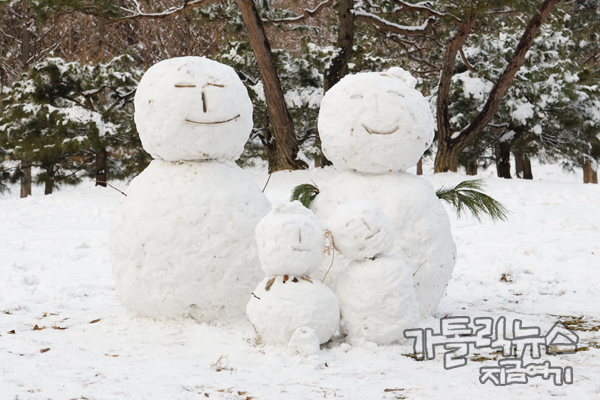 겨울에만 느낄 수 있는 눈의 정취를 인천대공원에서 맛보았다.
