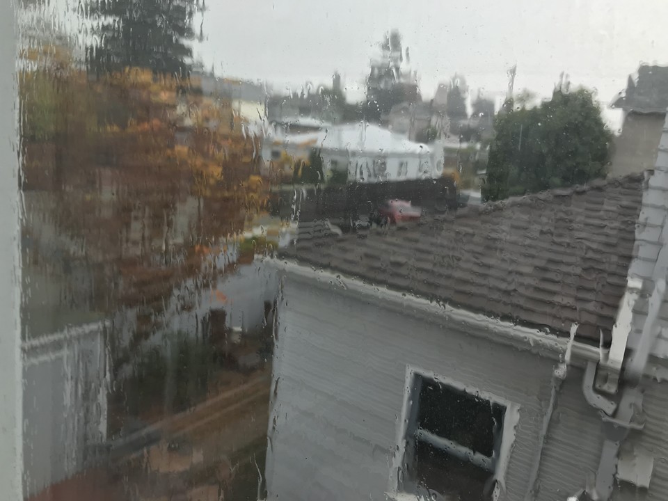 우리 집 식탁에 난 창 밖으로 보이는 동네 지붕들과 나무들이 선물처럼 내리는 비에 젖어 가는 광경. 창을 타고 흐르는 비가 우리의 맘을 촉촉하게 그리고 넉넉하게. ©️박정은