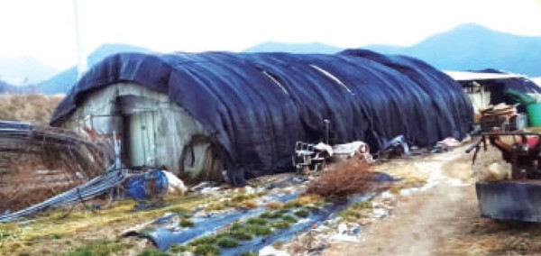 여성 노동자 4명이 사는 1인당 20만 원짜리 비닐하우스 숙소.(경남 밀양) (사진 출처 = 2018 이주노동자의 노동조건과 주거환경 실태조사 보고서)<br>