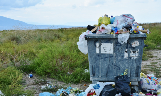 (이미지 출처 = Pixabay)