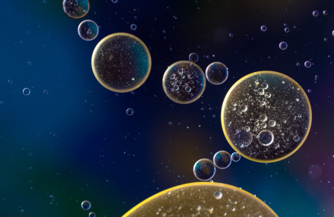 (이미지 출처 = Pixabay)