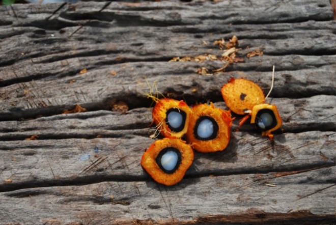 (이미지 출처 = Pixabay)<br>