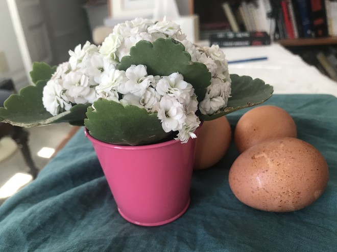 한 학생이 가져다준 꽃과 계란. 새로운 시선으로 세상을 보기 시작하는 젊은이의 여정은 꽃을 닮았고, 따스한 정이 묻어나는 계란에는 벌써 시작된 부활이 잠들어 있다. ©️박정은<br>