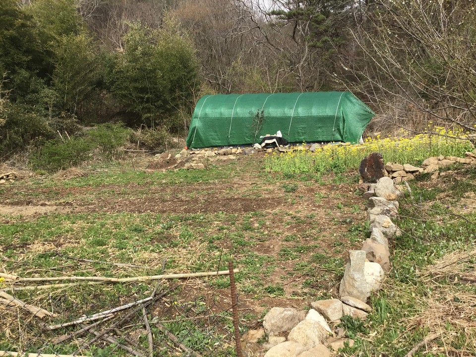 순돌이밭 귀퉁이에 있는 비밀의 뜰. (잘 보면 하우스 놀이터 앞에 벌통 하나가 놓여 있는 게 보인다.)&nbsp;©️정청라