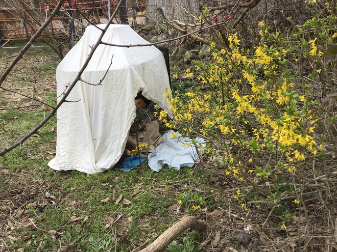 다랑이가 새 집을 지었어요. 집 이름은 개나리꽃뒷집.&nbsp;©️정청라<br>