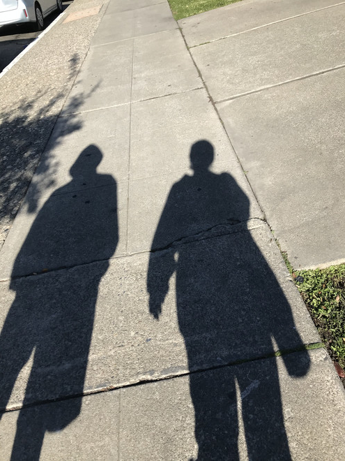 꽃 그늘을 따라 산책을 하다, 엠마오로 가던 제자들보다는 덜 실망스런 우리의 일상이라 더 걸어갈 수 있겠다는 생각을 하다. 그리고 그렇게 우리는 부활을 배워 간다. ©️박정은