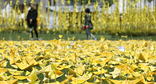 세월호 희생자를 추모하는 노란 리본과 노란 종이배들. (이미지 출처 = flickr.com)<br>