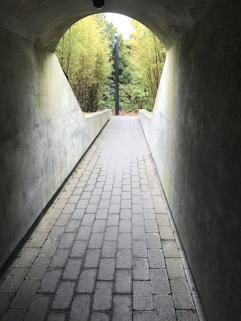 믿는다는 것은 결국 빈 무덤을 만나, 알 수 없는 숲으로 나아가는 것이다. ⓒ박정은