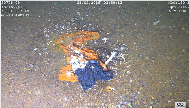 2019년 1차 심해 수색 때 선체 근처에서 발견된 유해. (사진 출처 = 스텔라데이지호 2차 심해수색 추진을 위한 공청회 자료집)<br>