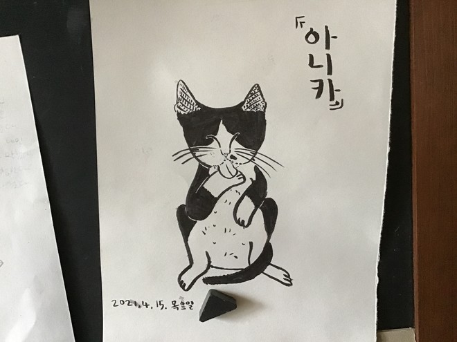 고양이 아니카. ©정청라