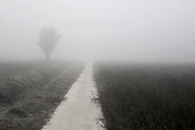 연중 마지막 주간을 보내며 길을 걷습니다. 지금 바로 이곳에서&nbsp;우리가 걷고 있는 길이&nbsp;나눔과 섬김의 길이길 소망합니다. ©장영식<br>