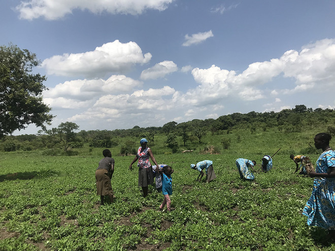 우간다&nbsp;은워야 마을. (사진 제공 = 한국희망재단)<br>