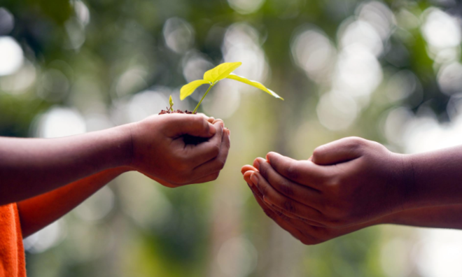 (이미지 출처 = Pixabay)