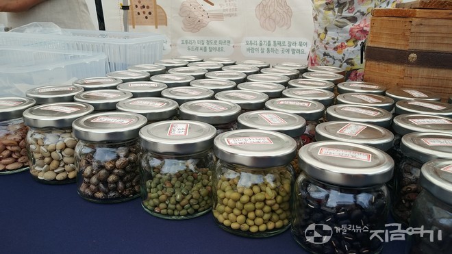 천주교 농부학교 출신 농민들이 모은 토종 씨앗. 김민정 씨(천주교 농부학교 동문회장)는 토종 씨앗을 보전하는 것이 식량 주권을 지키는 일이라고 강조했다. ⓒ배선영 기자<br>