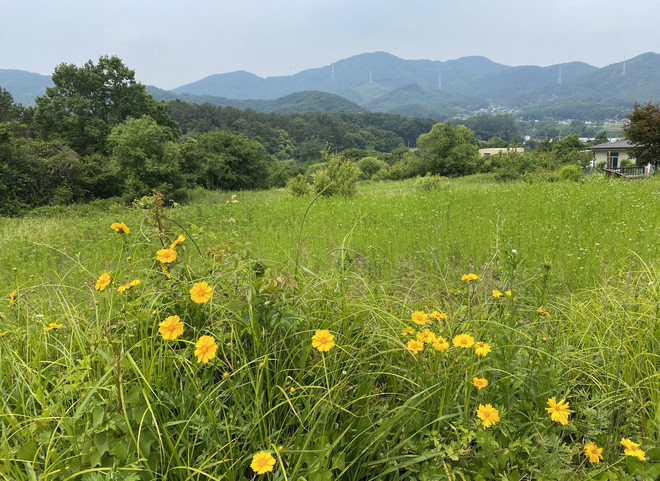 매월리 자연. ©남궁영미