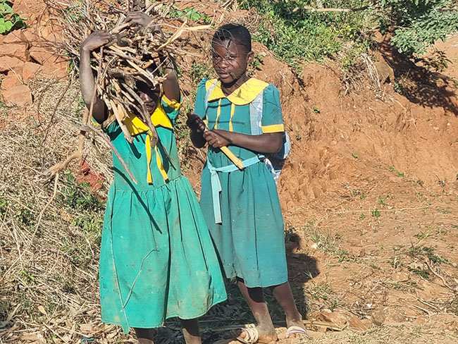 ﻿말라위, 땔감 할 나뭇가지를 구하는 여자 아이들 ⓒ한국희망재단