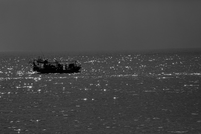 월성 핵발전소가 있는 마을에서는 기형적인 물고기가 잡히고, 기형적인 가축들이 태어나고 사산되기도 했다. ⓒ장영식<br>