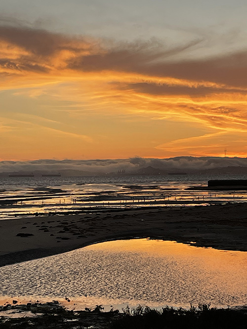 늘 같은 바닷가지만, 우리 동네 바닷가에 해가 질 때면, 늘 낯설고 아름답다. 전혀 알 수 없는 누군가의 얼굴처럼. 그런 하느님의 얼굴을 찾아 나가고 싶다.&nbsp;©박정은<br>