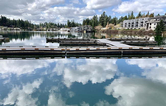 레이크 오스위고 일부 모습. (이미지 출처 = Flickr)<br>