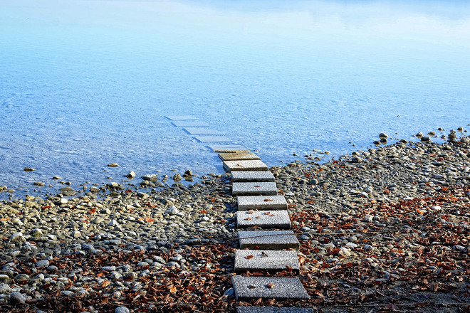 (이미지 출처 = Pixabay)