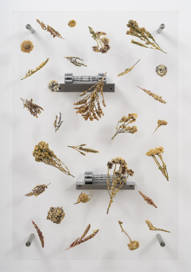 (그림 1) '후기 고전파 XVIII', 아니카 이, 2022. (사진 출처 = 글래드스톤 갤러리)