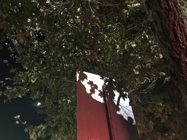 빛과 어둠이 공존하는 시간, 생과 죽음이 나란히 걷는 시간, 11월에는 그래서 희망을 노래할 거야. 어둠 속에서 빛을 만나는 희망을. ⓒ박정은