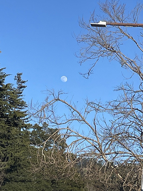 푸른 하늘에 뜬 낮달이 맘에 다가온다. 때로 하느님의 부르심은 이렇게 눈에 잘 띄지 않고, 잔잔하며, 그저 내 곁에 있어 주는 것 같아서 왠지 더 감사하고 또 감사하다. ⓒ박정은
