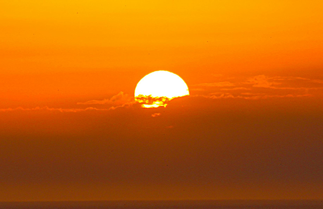 (이미지 출처 = Pexels)