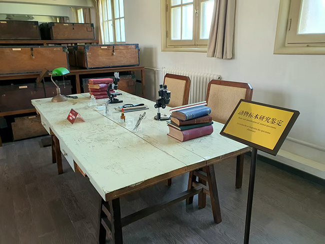 북강박물관의 동물 표본 연구실 모습. 리쌍이 다양한 동물 표본을 만들었던 곳이다. 북강박물관에 옛 모습 그대로 보존되어 있다. ⓒ오현석<br>