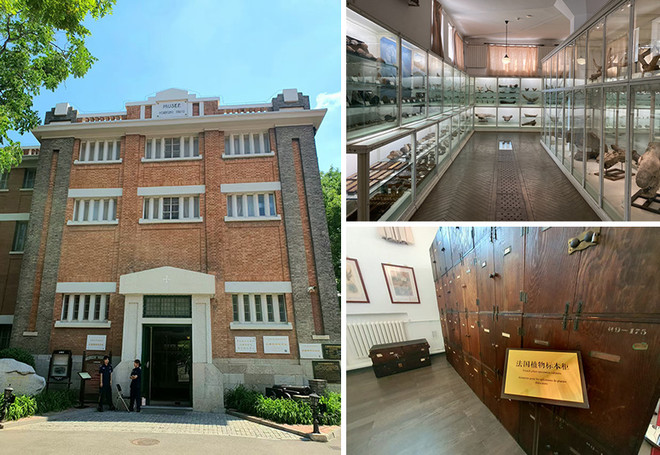 오늘날 북강박물원 모습. 천진외국어대학 교내에 있다. 박물관이 규모가 생각보다 크다. 박물관 누리집에서 관람 예약을 할 수 있다. 예약하고 가면 누구나 관람이 가능하다. 천진에 가실 일이 있다면 북강박물관에 꼭 들러 보시라. 소장된 표본의 가짓수와 그 다양함에 놀랄 것이다. ⓒ오현석