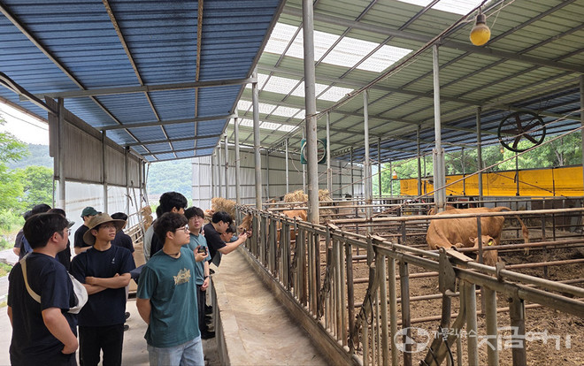 쌍호 분회와 자매결연을 맺은 도시 성당의 암송아지 구입비 지원으로 운영하는 축사를 둘러보는 신학생들. 쌍호 분회는 경종(논밭농사)과 축산(가축키우기)을 서로 연결해 농촌 생태계를 순환시키는 경축순환농법을 20년 넘게 실천하고 있다. ©경동현 기자<br>