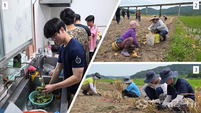생태 농활 신학생들의 일상, 1. 매끼 식사당번을 정해 식사 준비하는 신학생들 2. 농민들과 양파 캐는 신학생들 3. 마늘밭에서 수확하고 있는 신학생들. ©경동현 기자<br>