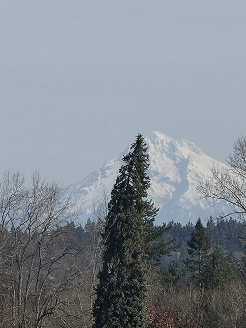언뜻 보면 잘 보이지 않는 눈 덮인 산. 하지만 천천히 마음으로 보면, 금방 얼굴을 보이는 눈덮인 산을 바라보면서, 저 눈 속에 숨은 봄을 본다. 그렇게 저 산을 볼때, 하늘나라를 만날 수 있고, 그 만남을 우리는 봄이라 부를 수 있을 것 같다. ⓒ박정은<br>